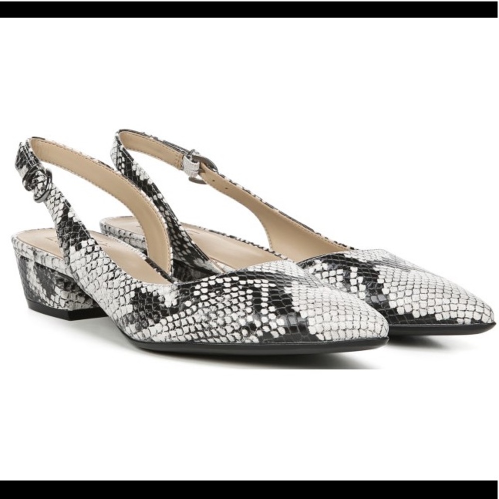 Naturalized Banks In Alabaster Snake